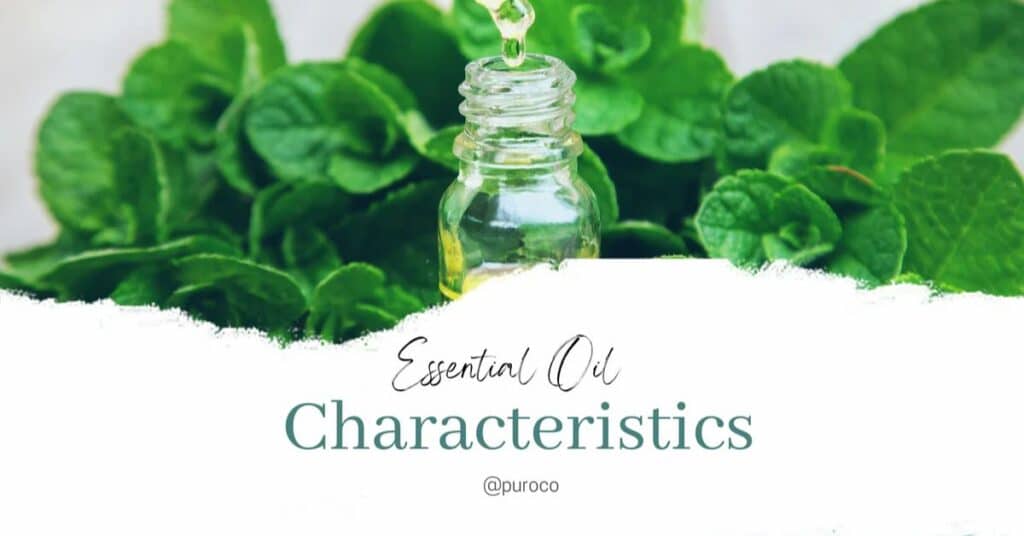 Key Characteristics of Essential Oils