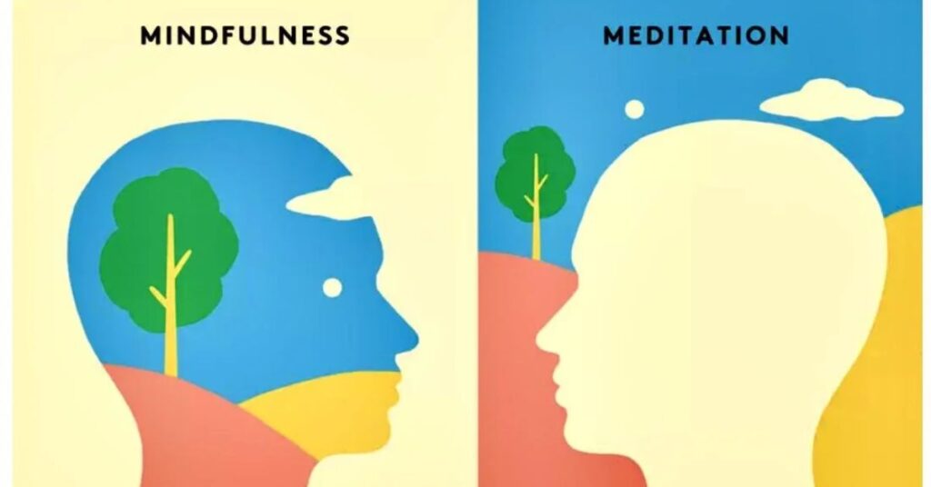 The Connection Between Mindfulness and Meditation